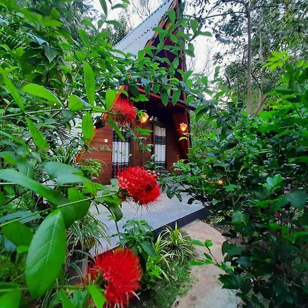 The Otunna Guest House Сигирия Экстерьер фото