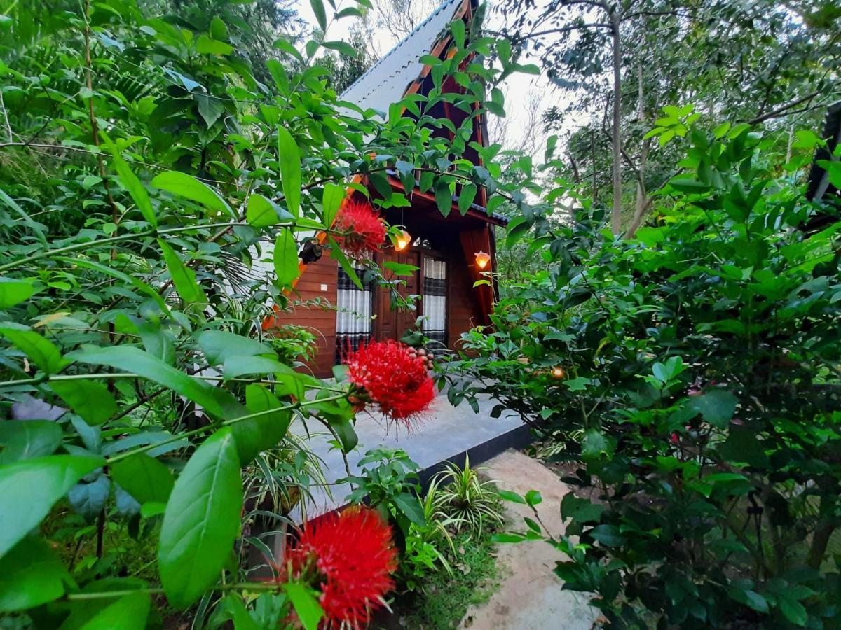 The Otunna Guest House Сигирия Экстерьер фото